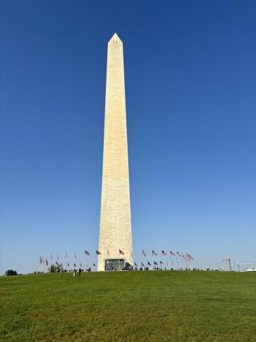 IMG 6553